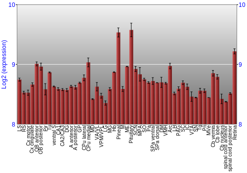 Expression graph