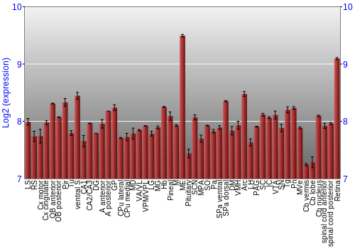Expression graph