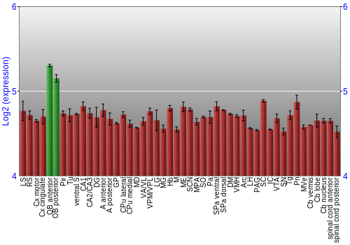 Multi-state expression graph
