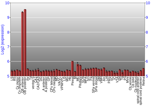 Expression graph