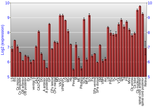 Expression graph