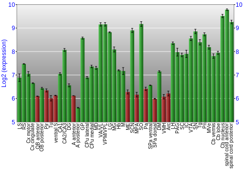 Multi-state expression graph