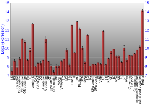 Expression graph