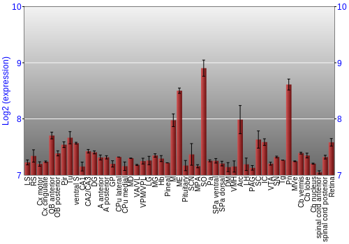 Expression graph