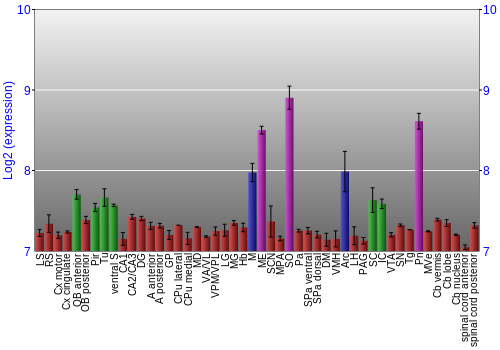 Multi-state expression graph