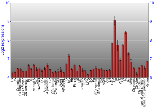 Expression graph
