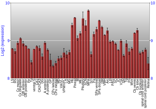 Expression graph