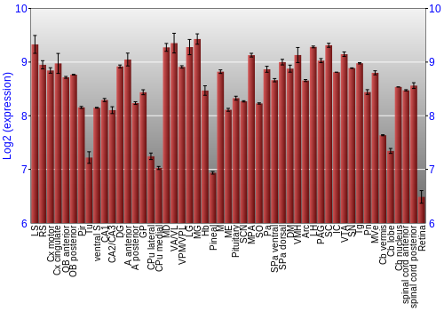 Expression graph