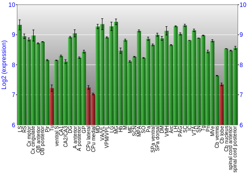Multi-state expression graph