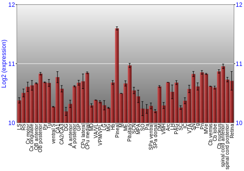Expression graph