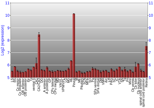Expression graph