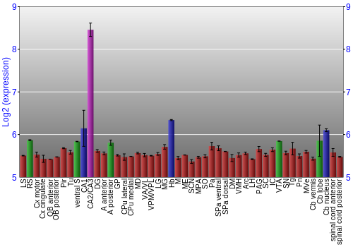 Multi-state expression graph