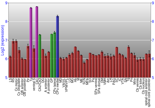 Multi-state expression graph