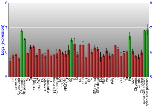 Multi-state expression graph