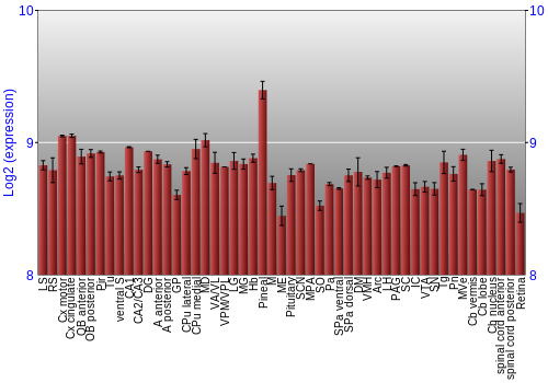 Expression graph