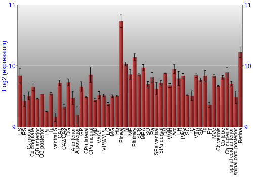 Expression graph