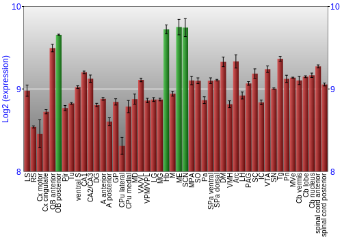 Multi-state expression graph