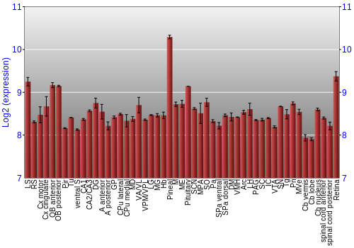 Expression graph