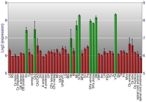 Multi-state expression graph