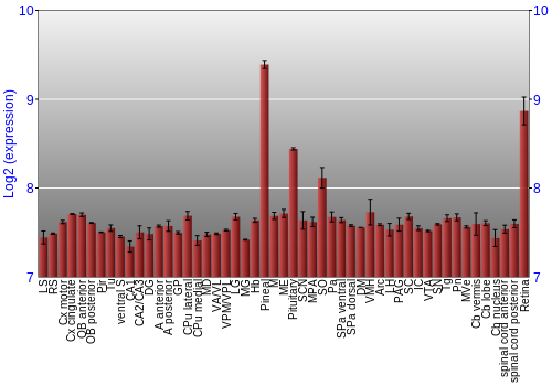 Expression graph
