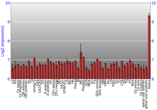 Expression graph