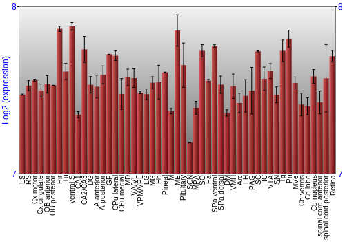 Expression graph