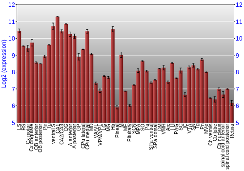 Expression graph
