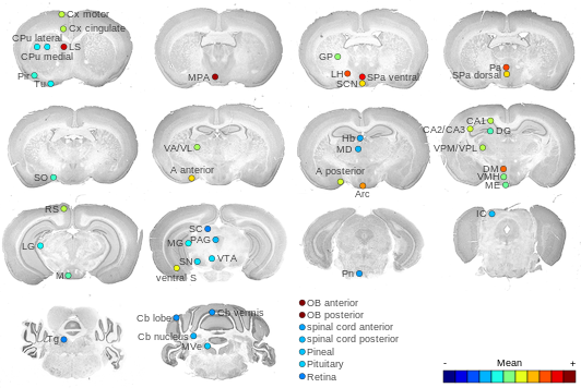 Expression map