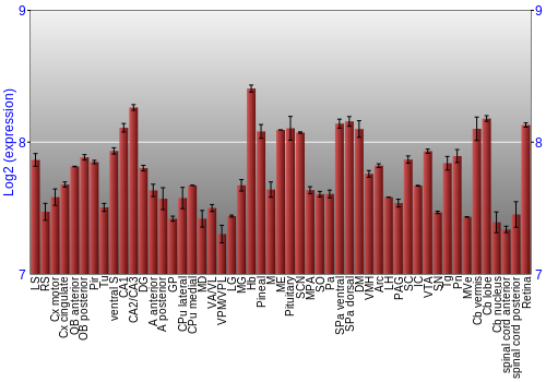Expression graph