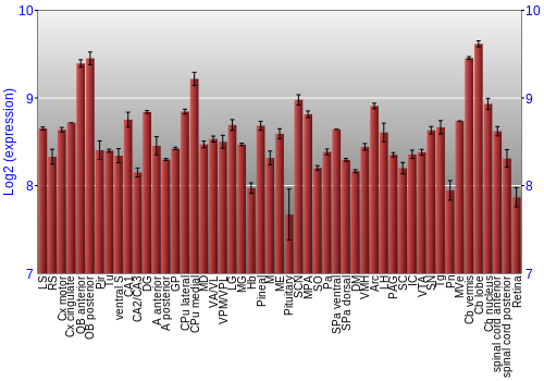 Expression graph