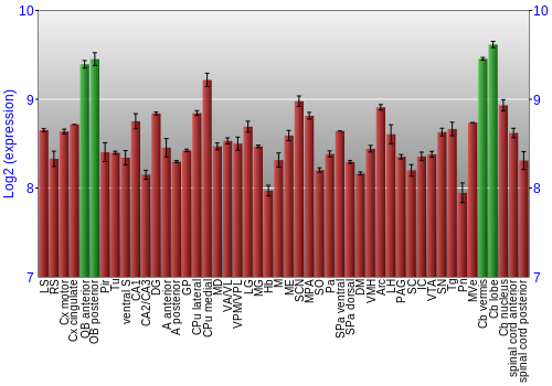 Multi-state expression graph