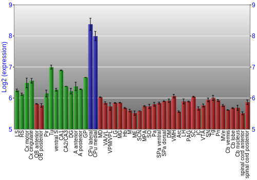 Multi-state expression graph