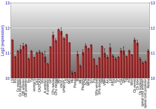 Expression graph