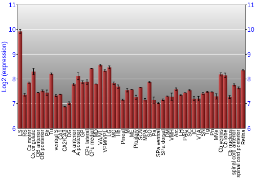 Expression graph