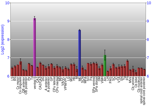 Multi-state expression graph