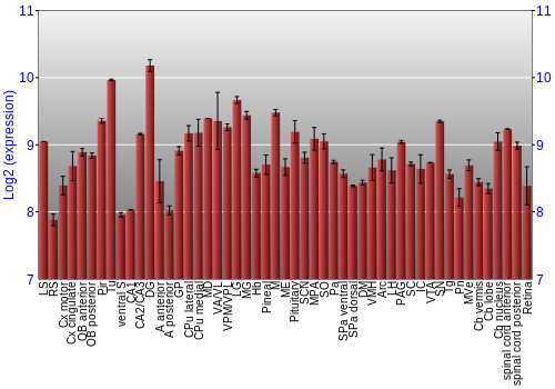 Expression graph