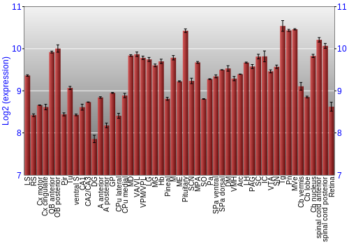 Expression graph