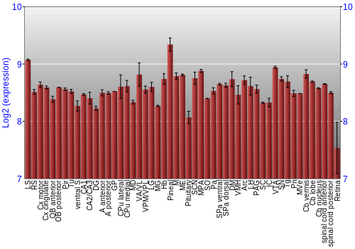 Expression graph