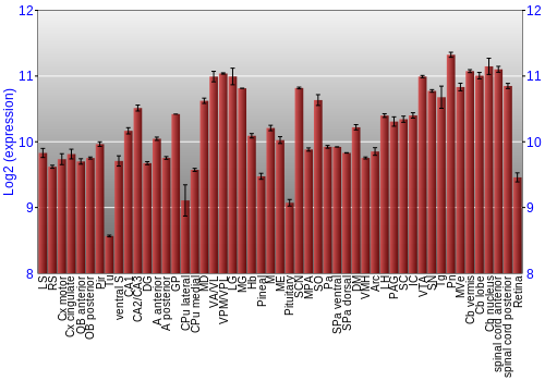 Expression graph