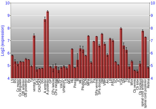 Expression graph