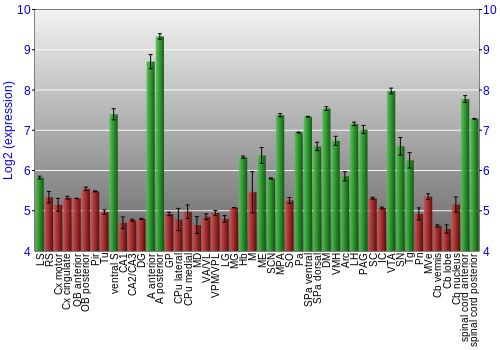 Multi-state expression graph