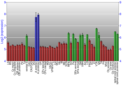 Multi-state expression graph