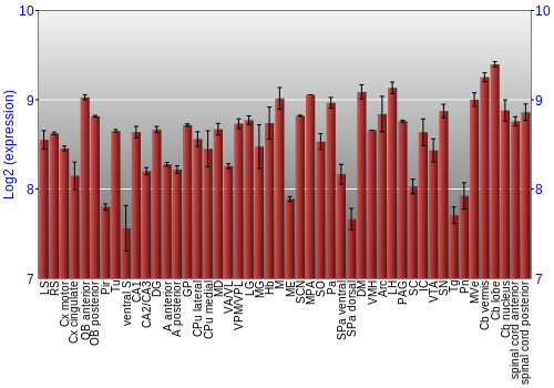 Multi-state expression graph