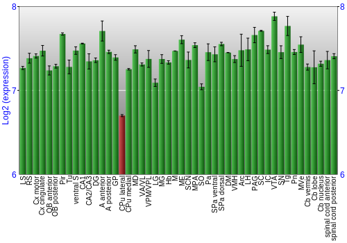 Multi-state expression graph