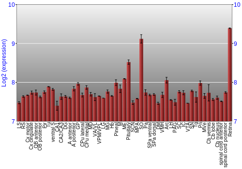 Expression graph