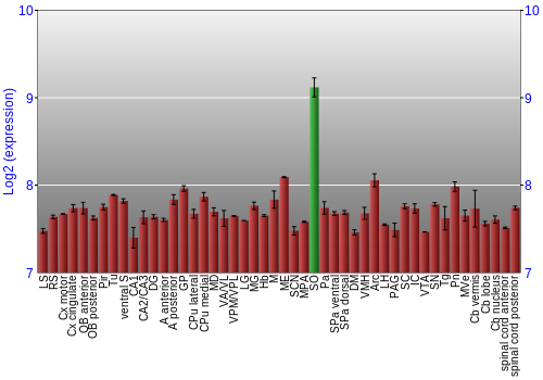 Multi-state expression graph