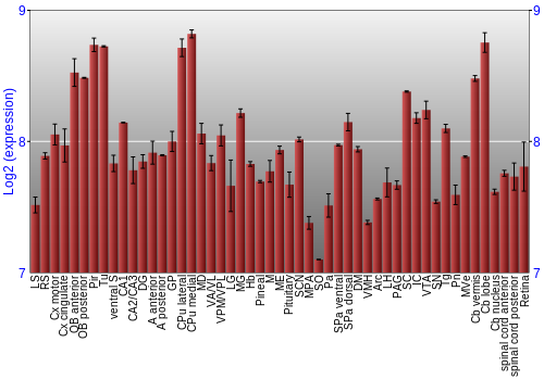 Expression graph