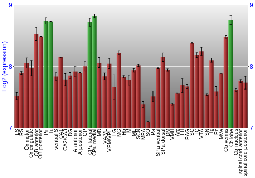 Multi-state expression graph