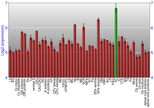 Multi-state expression graph