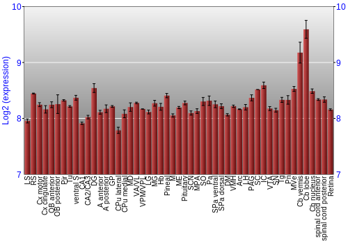 Expression graph
